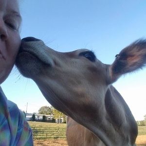 Meet your Posher, Kelli